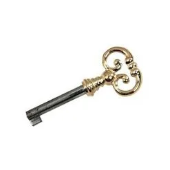 Clé 1520 T40 Cuisse DUBOIS Laiton Patiné - 157004